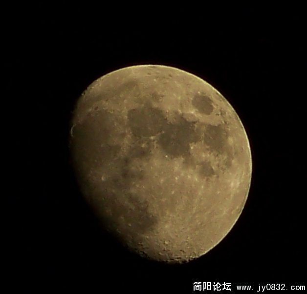 100_0805.jpg