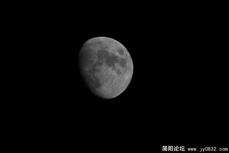 100_0830.jpg