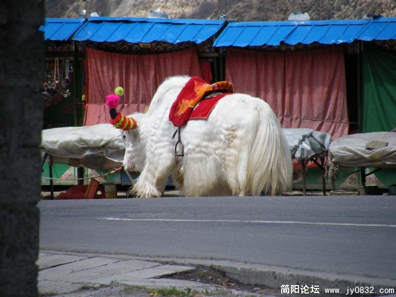 0DSCF3036.jpg