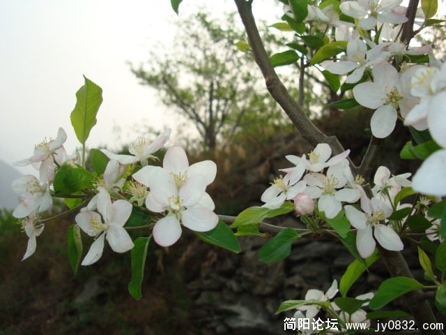 DSC00791.JPG
