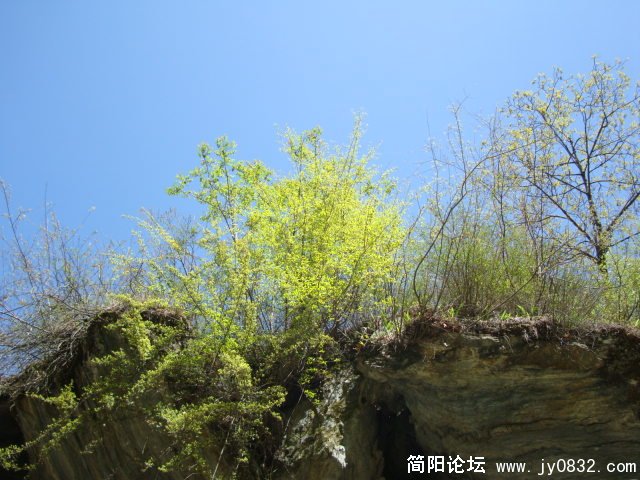DSC00908.JPG
