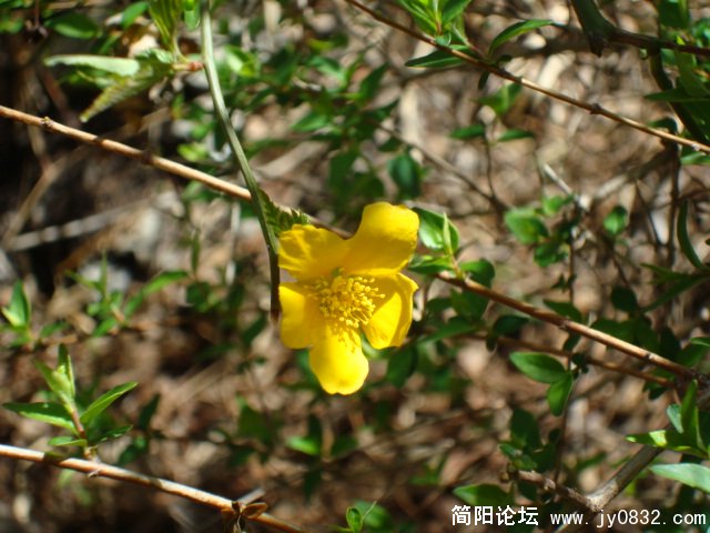 DSC00900.JPG