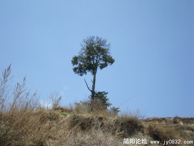 DSC00844.JPG