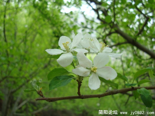 DSC00806.JPG