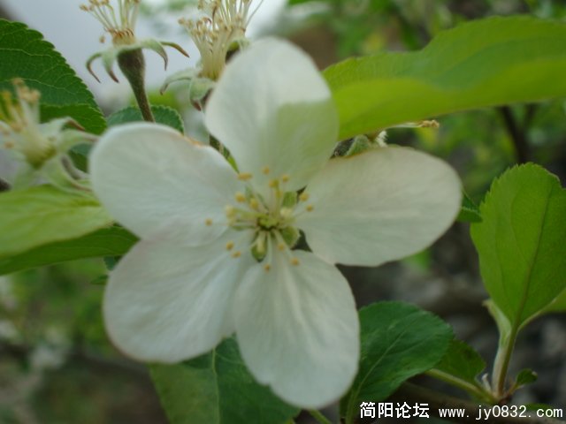 DSC00794.JPG