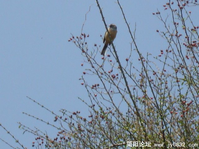 DSC00813.JPG