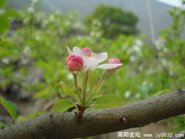 DSC00802.JPG