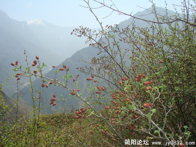 DSC00855.JPG