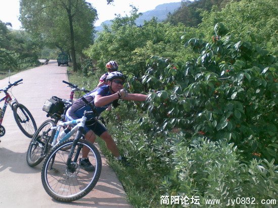 图像015.JPG