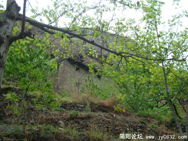 出沟去