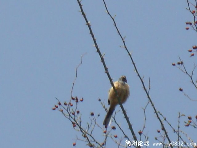 DSC00814.JPG