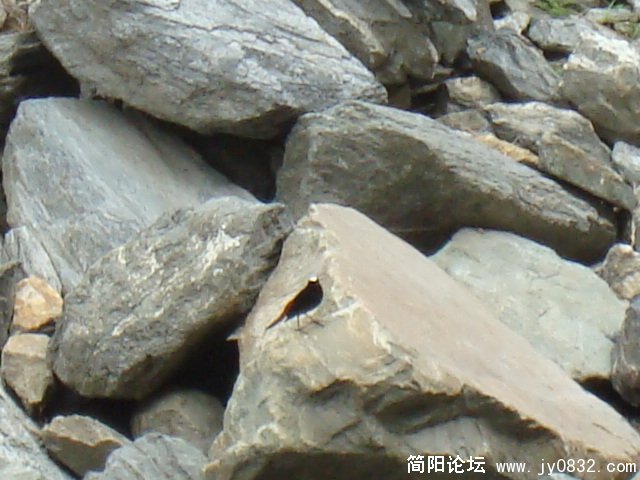 DSC00912.JPG