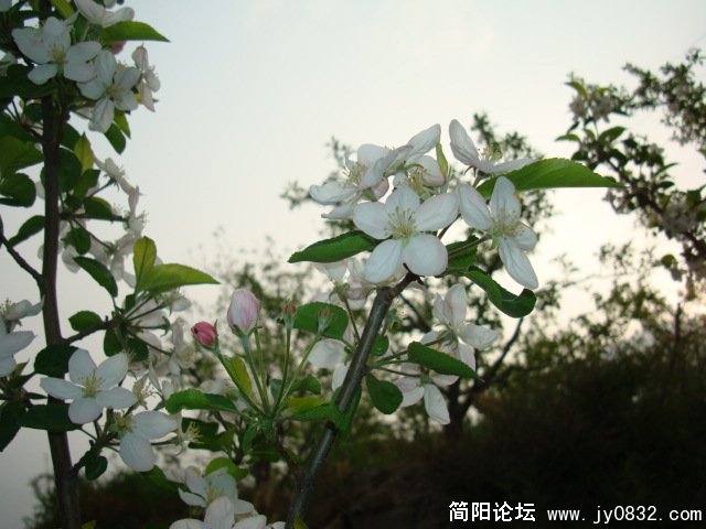 DSC00792.JPG