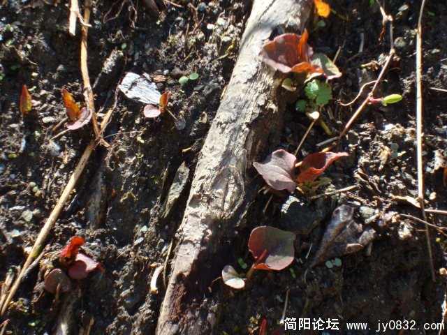 可能时间还不是很合适，发出来的不是很多
