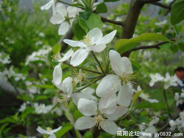 DSC00790.JPG