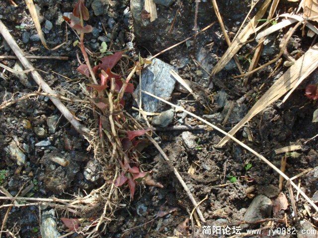 小有收获