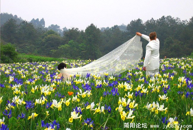 花儿09.jpg