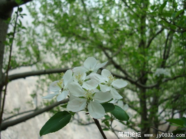 DSC00808.JPG