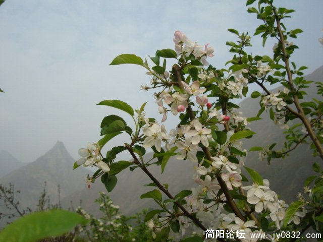 DSC00805.JPG
