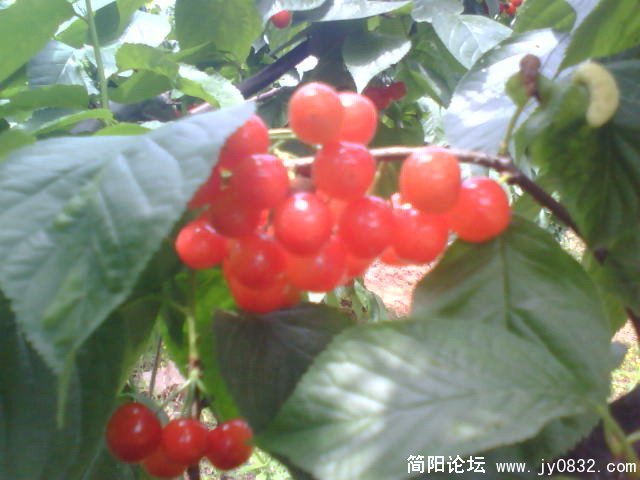 或哟 ~一托