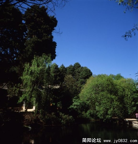 茶马古道边.jpg