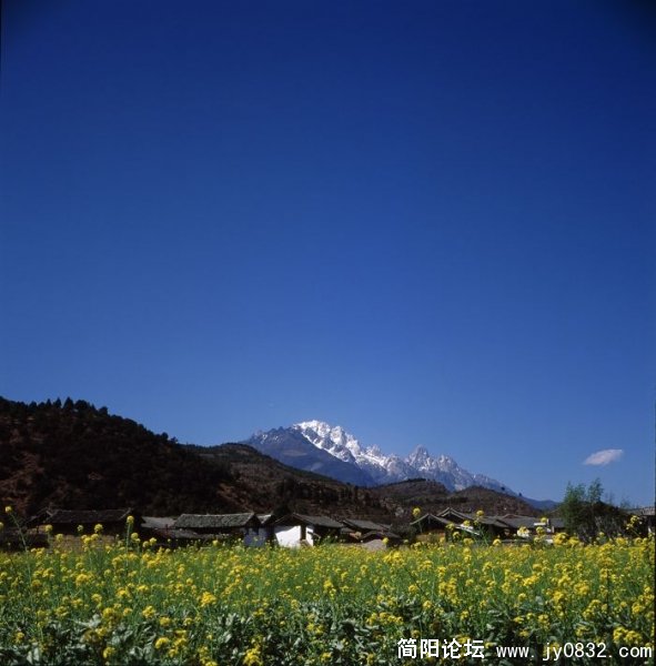 束河郊外，远处是玉龙雪山2.jpg