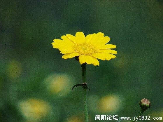 QQ截图未命名2.JPG
