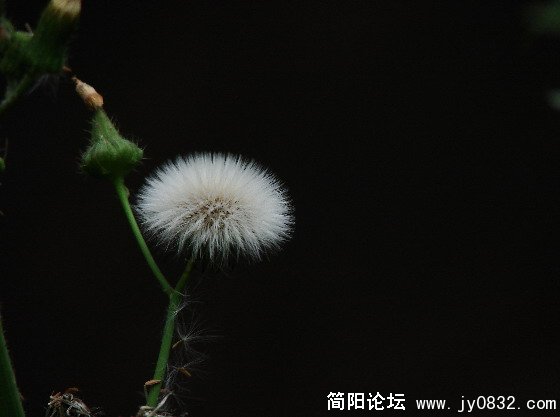 QQ截图未命名1.JPG
