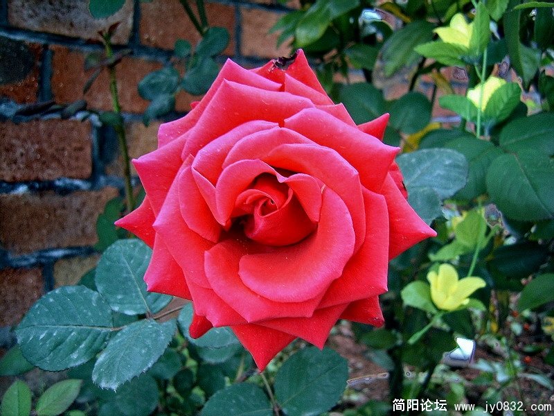 SUC53644.jpg