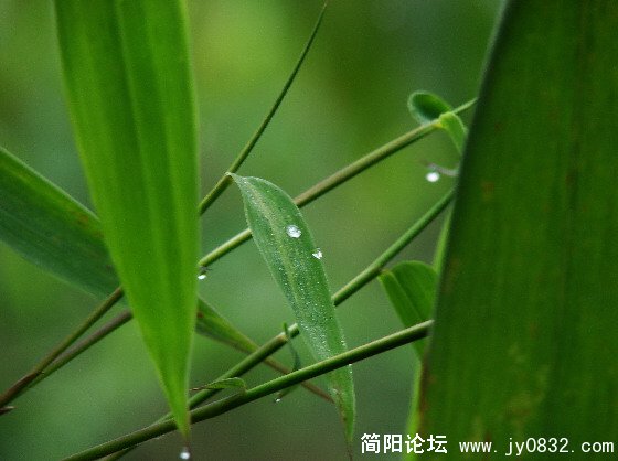QQ截图未命名3.JPG