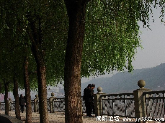 QQ截图未命名8.JPG