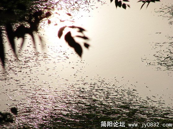 QQ截图未命名10.JPG