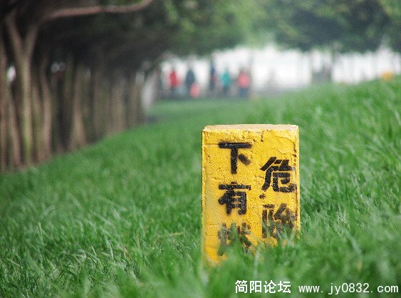 QQ截图未命名5.JPG