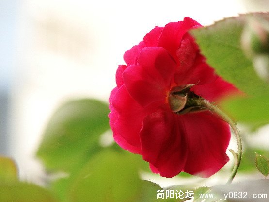 QQ截图未命名.JPG