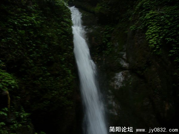 SL371836.jpg