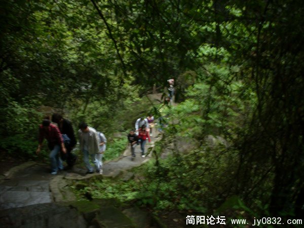 SL371832.jpg