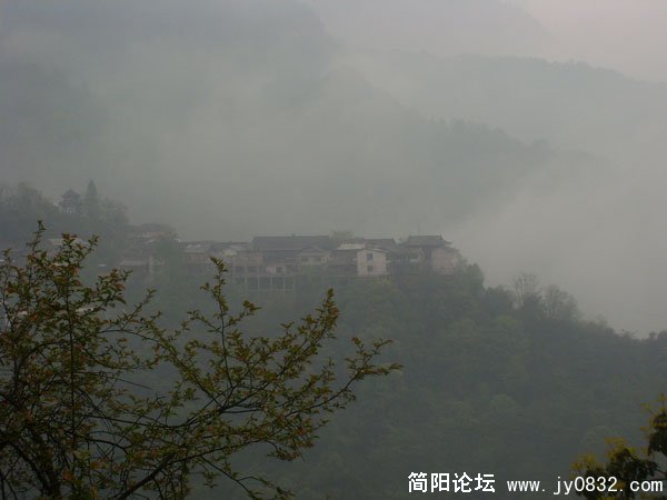 SL371857.jpg