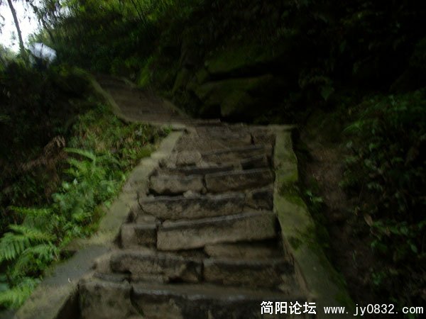 SL371831.jpg