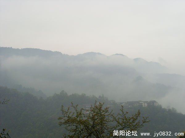 SL371859.jpg