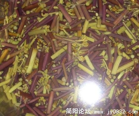 新鲜的蕨菜