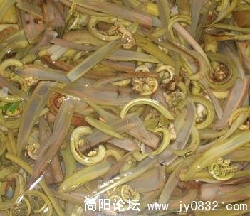 新鲜的刺笼孢