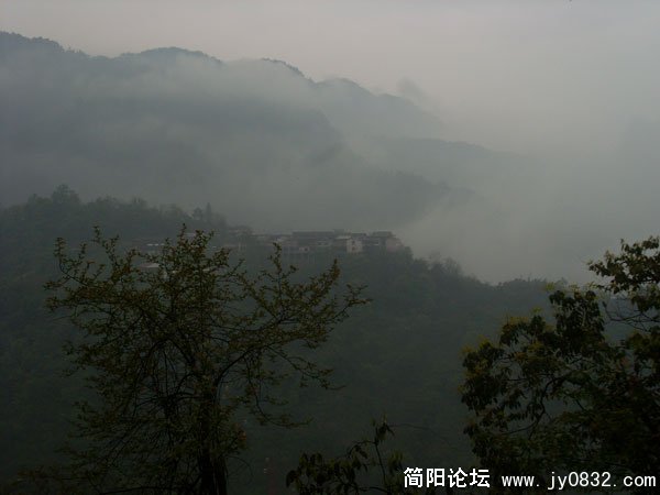 SL371858.jpg