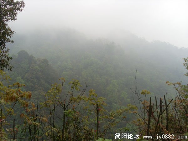 SL371840.jpg
