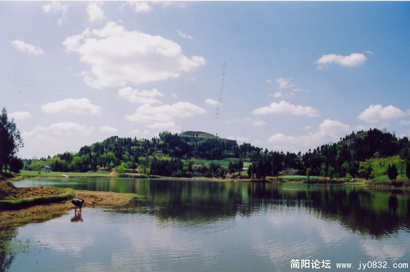 此处是宝梵寺外的一水塘，波光潋滟，清秀可人。