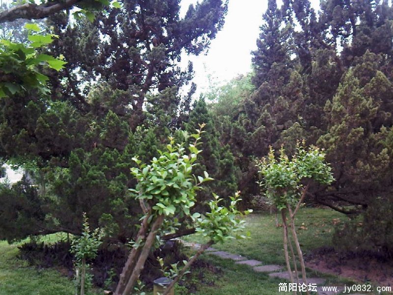 照片-0061.jpg