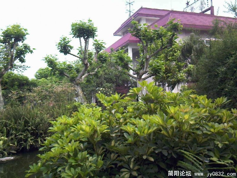 照片-0059.jpg