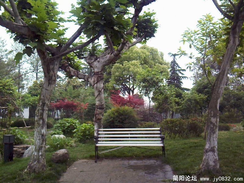 照片-0057.jpg