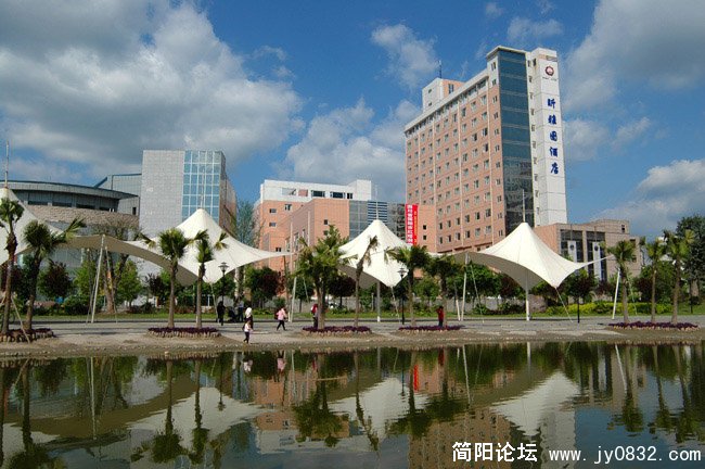 03.jpg