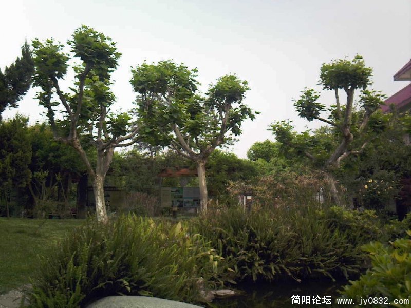 照片-0060.jpg