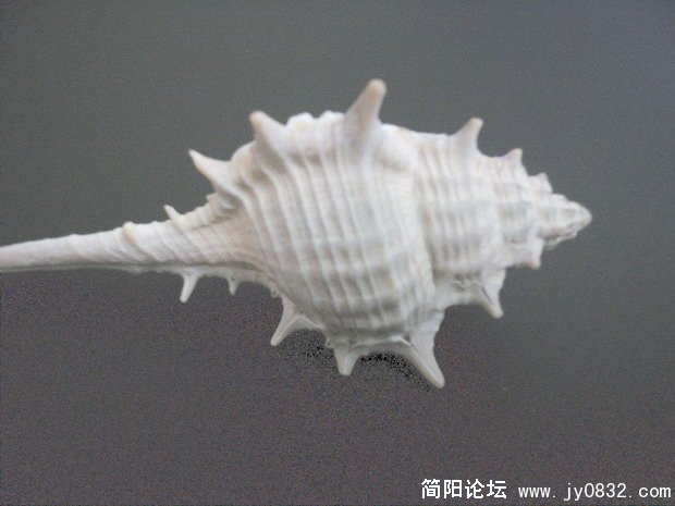 照片033.jpg